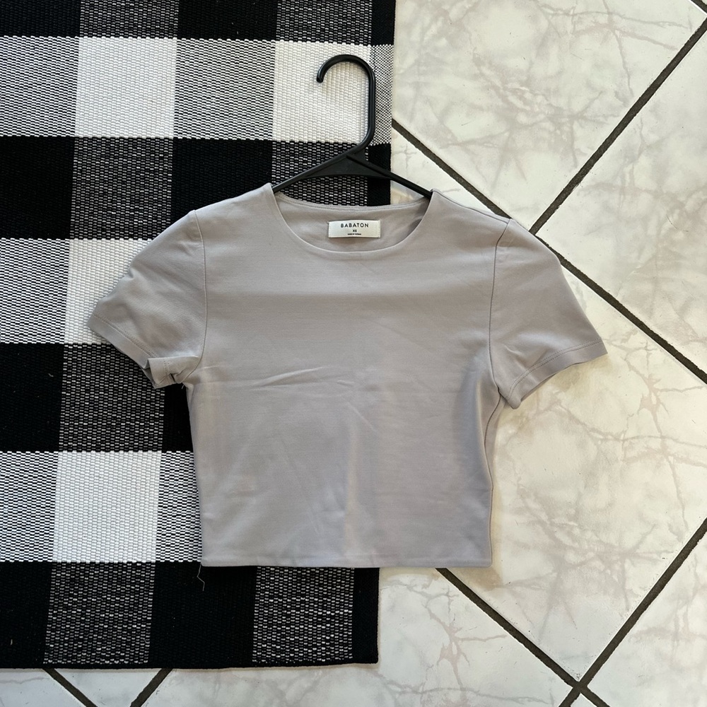 Babaton Light Gray Crop Top
